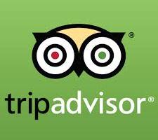 Trip Advisor logo