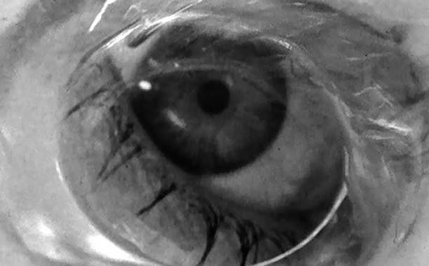 An exhibition of artists inspired by Alfred Hitchcock and cinema