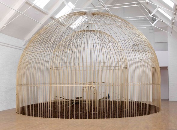 Birdcage installation by young artist Mircea Cantor