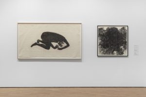 Two prints by Kiki Smith: a curled up male figure facing downwards and a close up depiction of human hair
