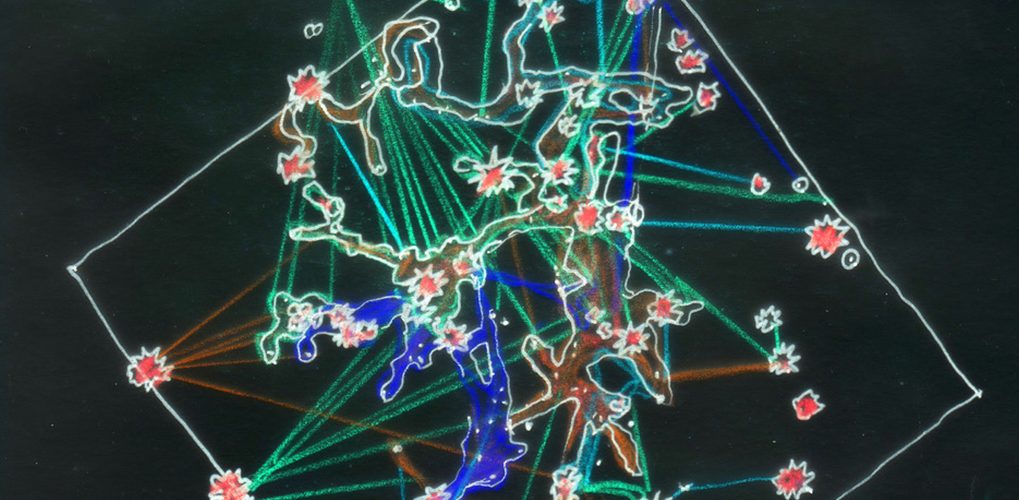 Sue Chamberlin, Woodwide web.